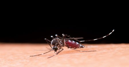 1° óbito por dengue confirmado em Rio do Sul