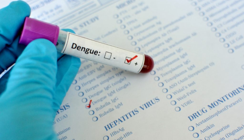 Blumenau confirma mais 2 mortes por dengue; total chega a 32 