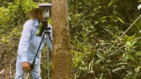 SC pode ampliar seu território após recálculo de limites com o Paraná