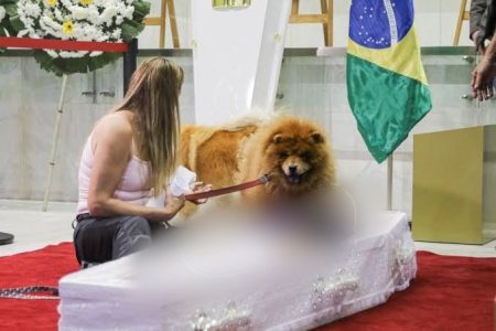 Cantor Nahim é velado com caixão no chão para cães se despedirem