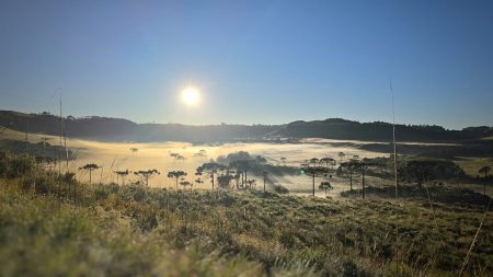 Frio intenso em cidade de SC causa sensação térmica de -26,9°C