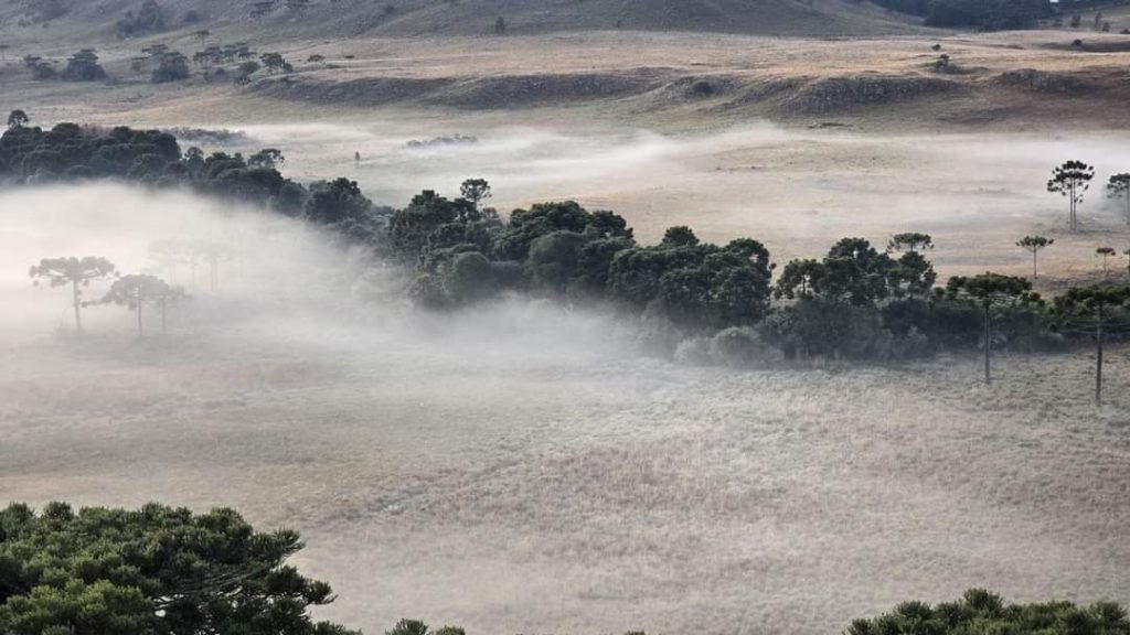 Semana em Santa Catarina será de frio intenso e chuvas 