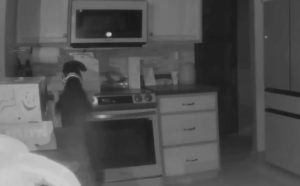 Cachorro liga fogão no meio da noite e incendeia casa nos EUA