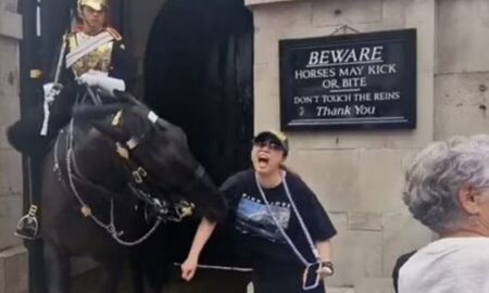 Turista desmaia após ser mordida por cavalo da Guarda Real, em Londres