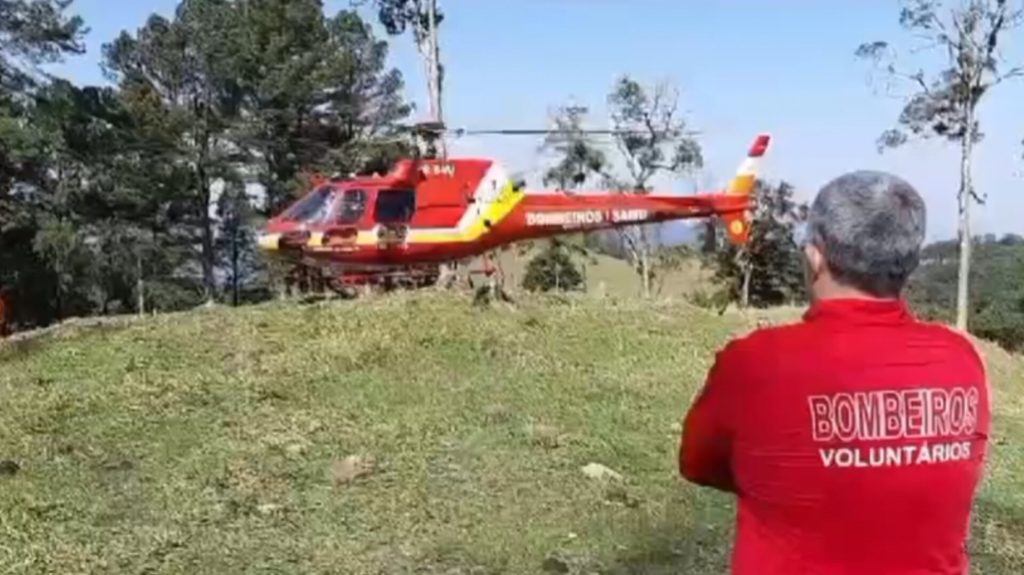 Idoso de 76 anos fica gravemente ferido após ser atingido por galho de árvore em Pomerode