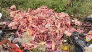 Descarte irregular de restos de animais alarma moradores em Itapema