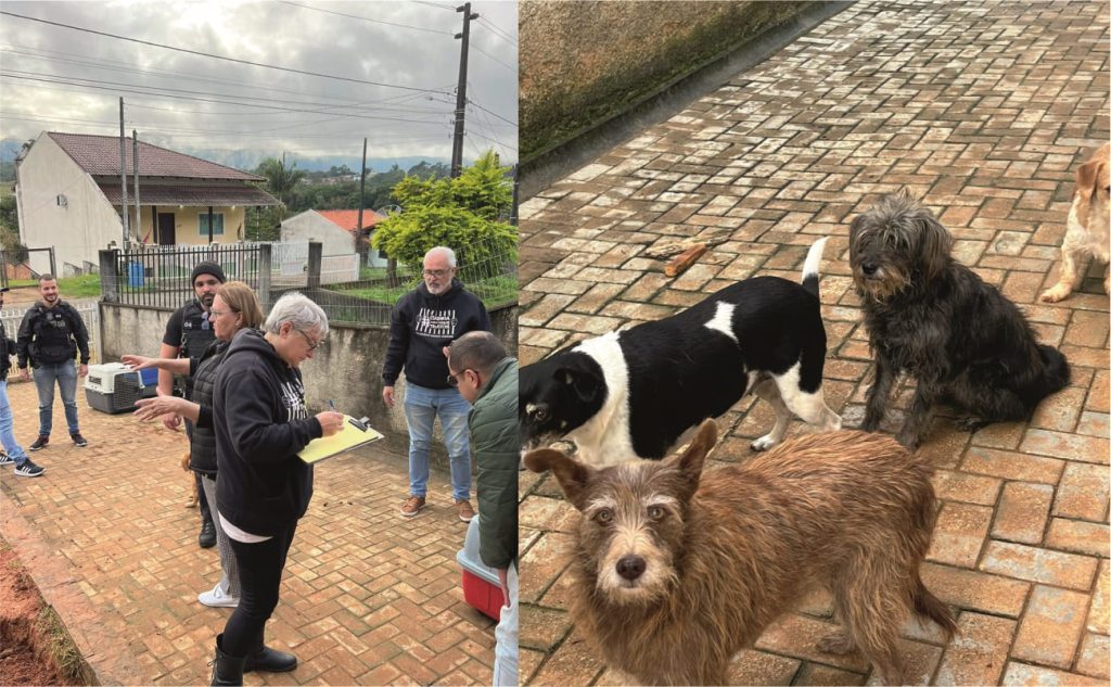 Em Indaial, Polícia Civil resgata 10 cães em situação de maus-tratos e prende tutor em flagrante