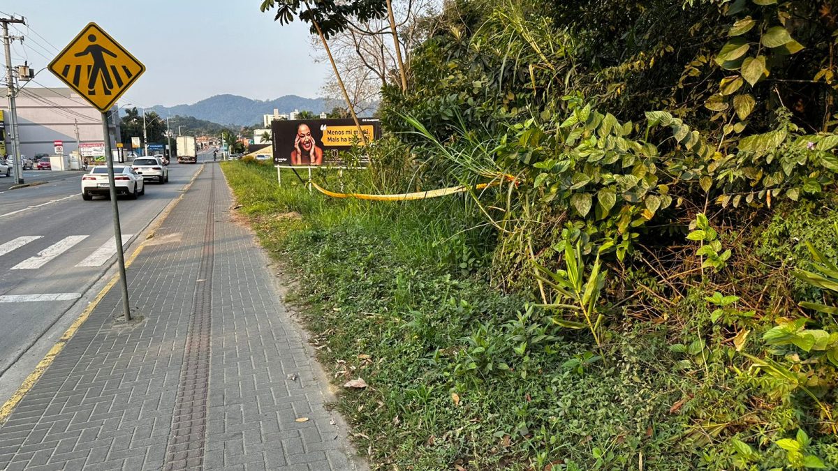 Em Timbó, condutor idoso é resgatado após sair de pista e cair em ribanceira com cerca de 6 metros