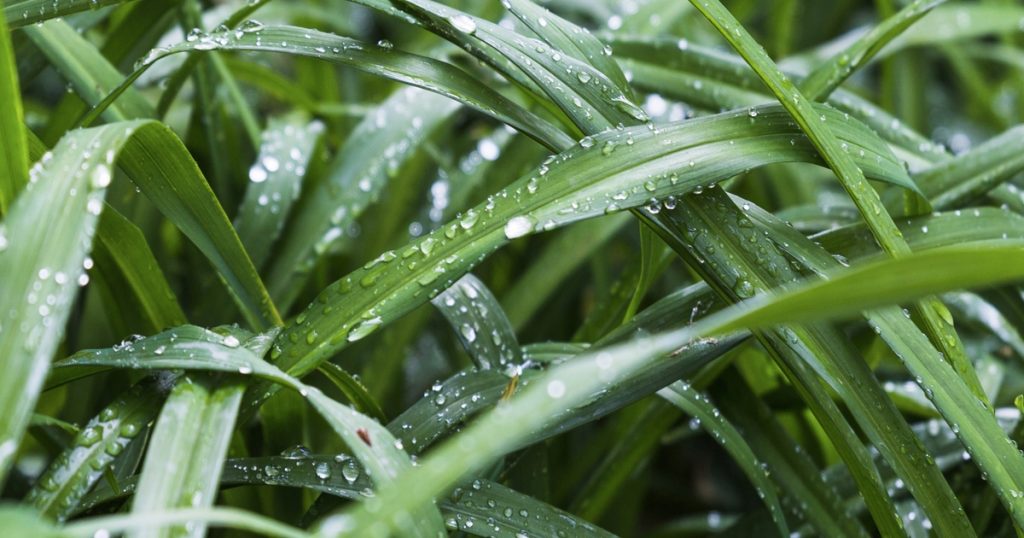 Santa Catarina pode ter temperaturas mínimas negativas neste fim de semana