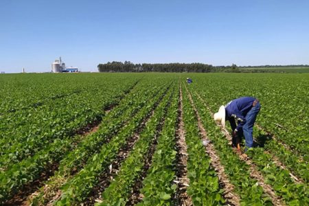 Governo de SC investe R$ 40,7 milhões em projetos de apoio aos produtores rurais 