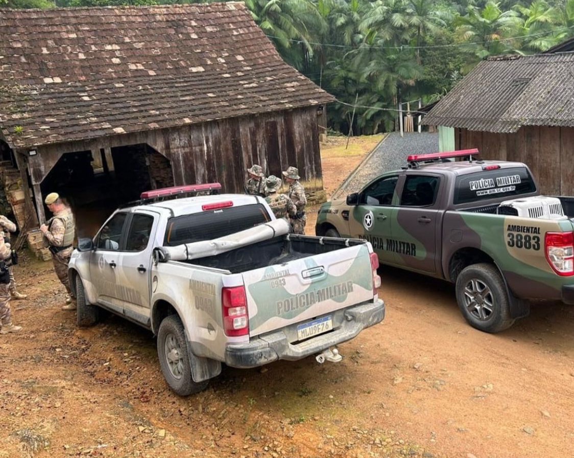 Operação policial em Rio dos Cedros prende 5 suspeitos de caça ilegal e apreende armas e animais abatidos