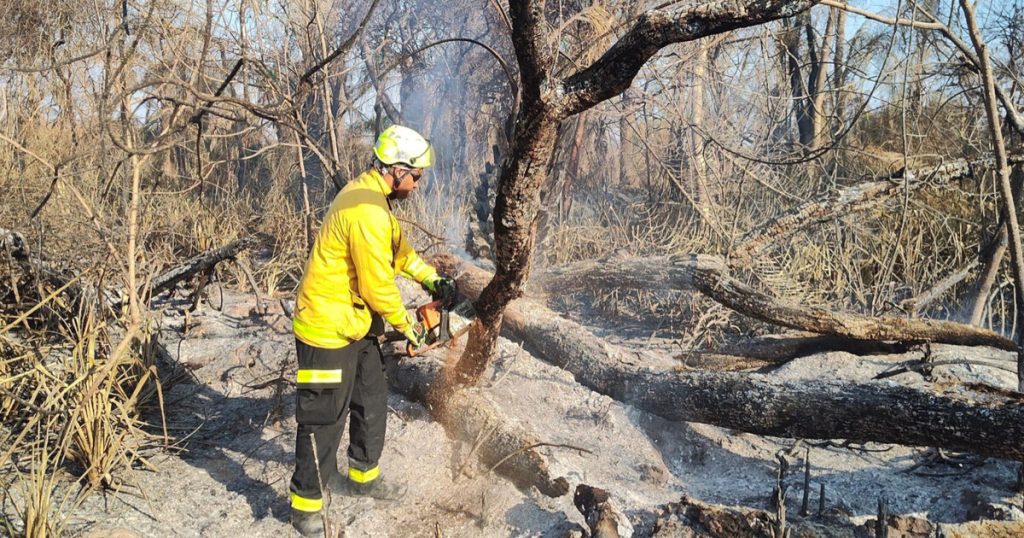 Bombeiros combatem incêndio florestal há 5 dias no Mato Grosso do Sul