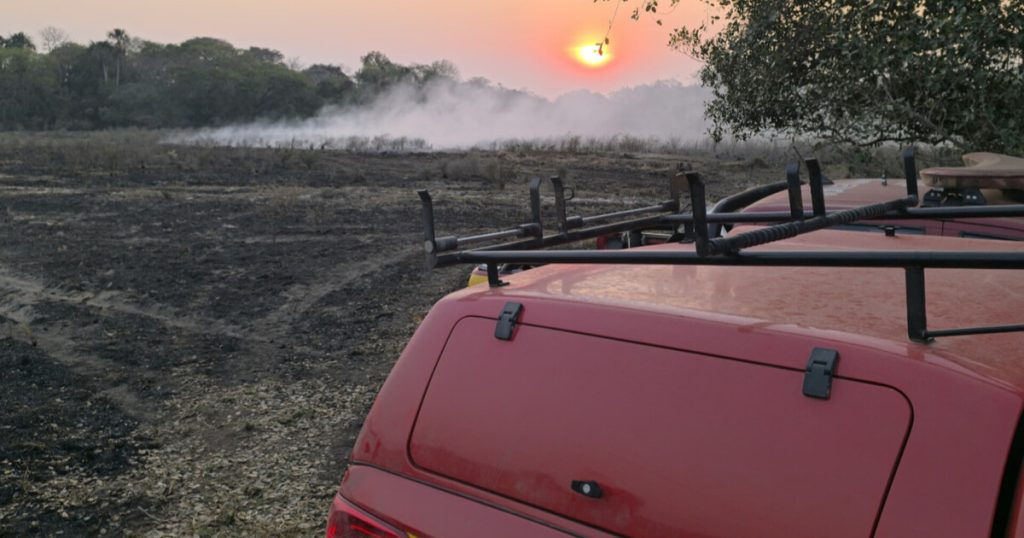 Bombeiros combatem incêndio florestal há 5 dias no Mato Grosso do Sul