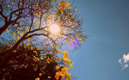 SC terá fim de semana de calor e tempo estável em quase todas as regiões