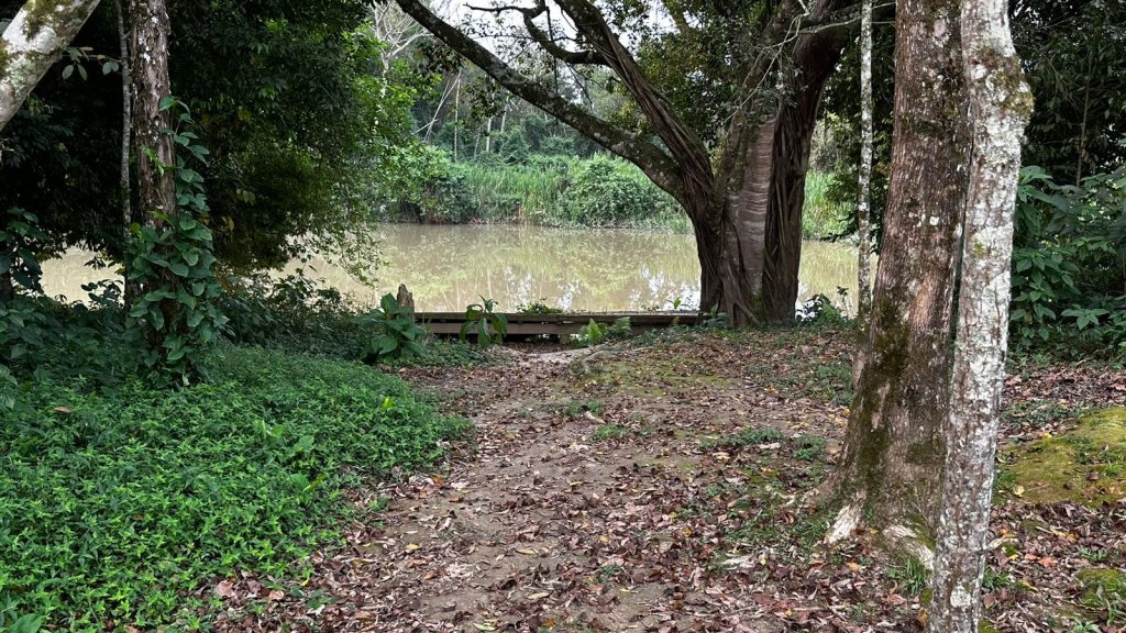 Visitantes poderão fazer passeios no Rio Benedito, no Parque Henry Paul, em Timbó