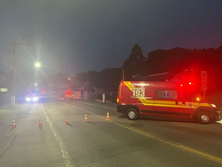 Ataque de abelhas mobiliza Corpo de Bombeiros em Rio do Sul