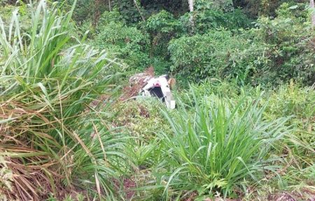 Em Blumenau, queda em ribanceira deixa 2 pessoas feridas 