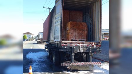 Incêndio em carreta porta container mobiliza bombeiros na SC-421, em Pomerode