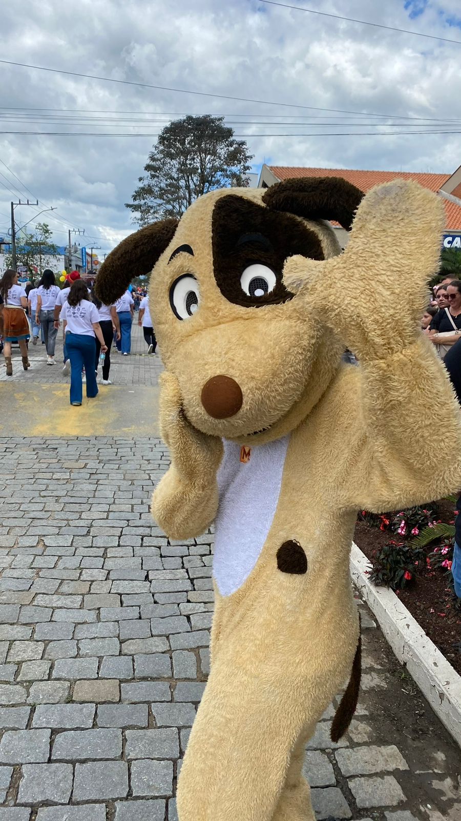 Mascotes do Misturebas levaram alegria para a criançada no desfile em Timbó