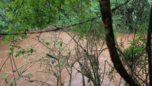 Herói de Concórdia: servidor salva idosas da correnteza do Rio dos Queimados