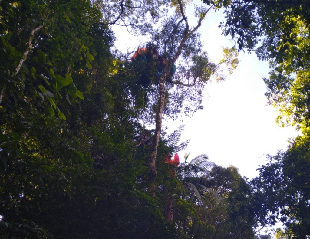 Piloto de parapente é resgatado após queda no Morro Azul, em Timbó