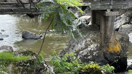 Pai ajuda nas buscas pelo filho de 9 anos desaparecido no rio em Rio dos Cedros