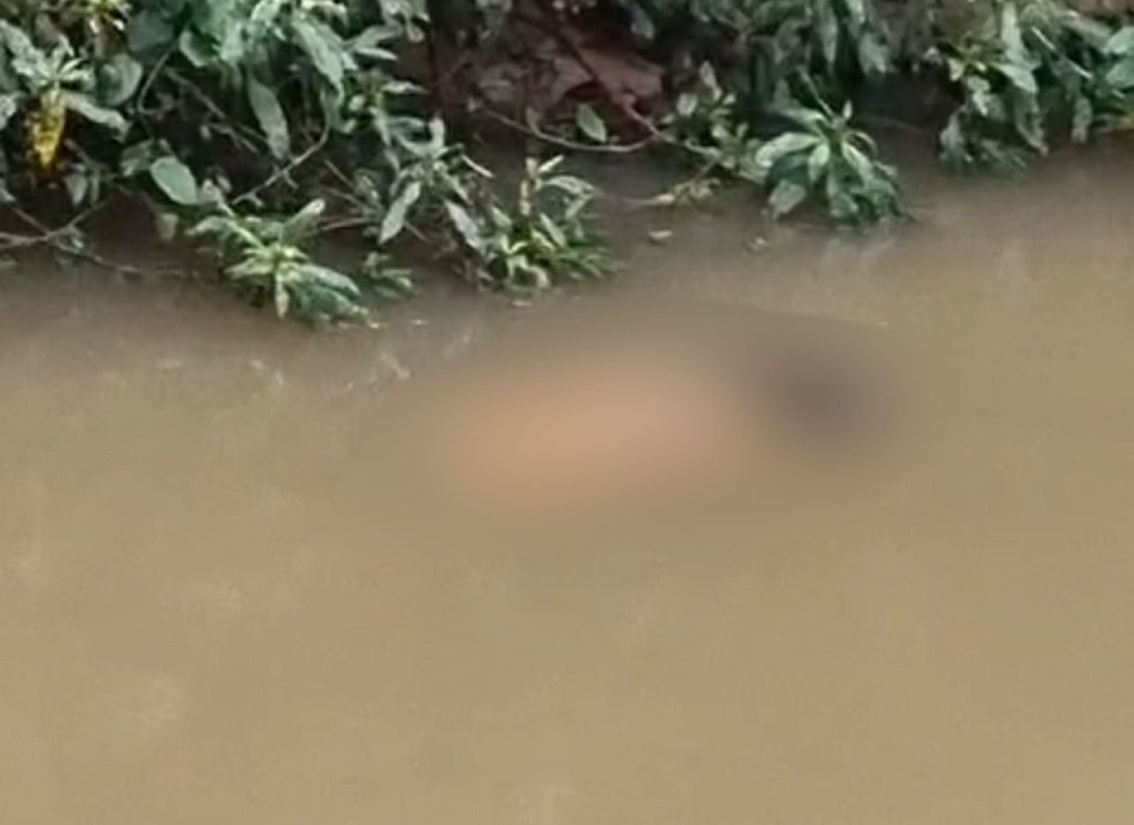 Em Pomerode, corpo de mulher é encontrado boiando no Rio do Testo