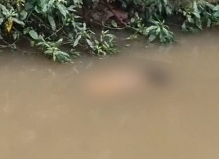 Em Pomerode, corpo de mulher é encontrado boiando no Rio do Testo