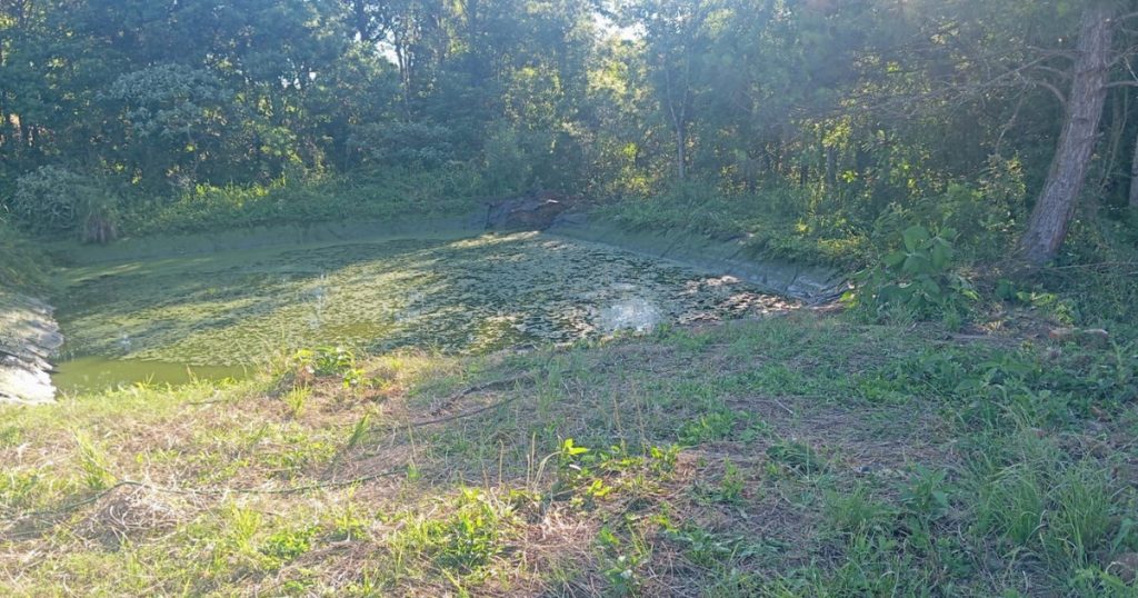 Menino de 5 anos morre afogado em lago na Fazenda Ouro Verde em SC