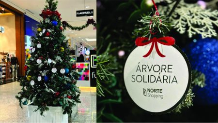 Árvore Solidária arrecada brinquedos para alegrar o Natal de crianças em Blumenau