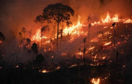 Incêndios em 2024 devastam área equivalente ao Tocantins