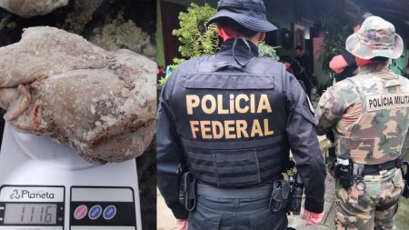 Polícia Militar Ambiental e Polícia Federal deflagram operação contra caça ilegal em Indaial e região