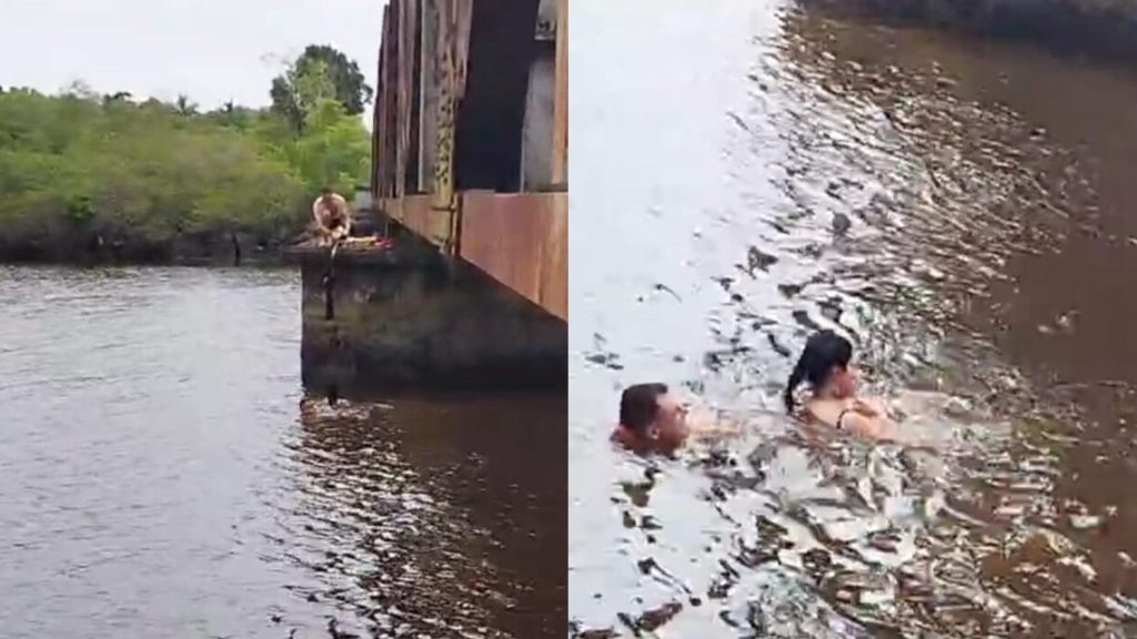 Mulher cai em rio de SC ao tentar tirar foto, mas é salva por namorado com cadarço de tênis