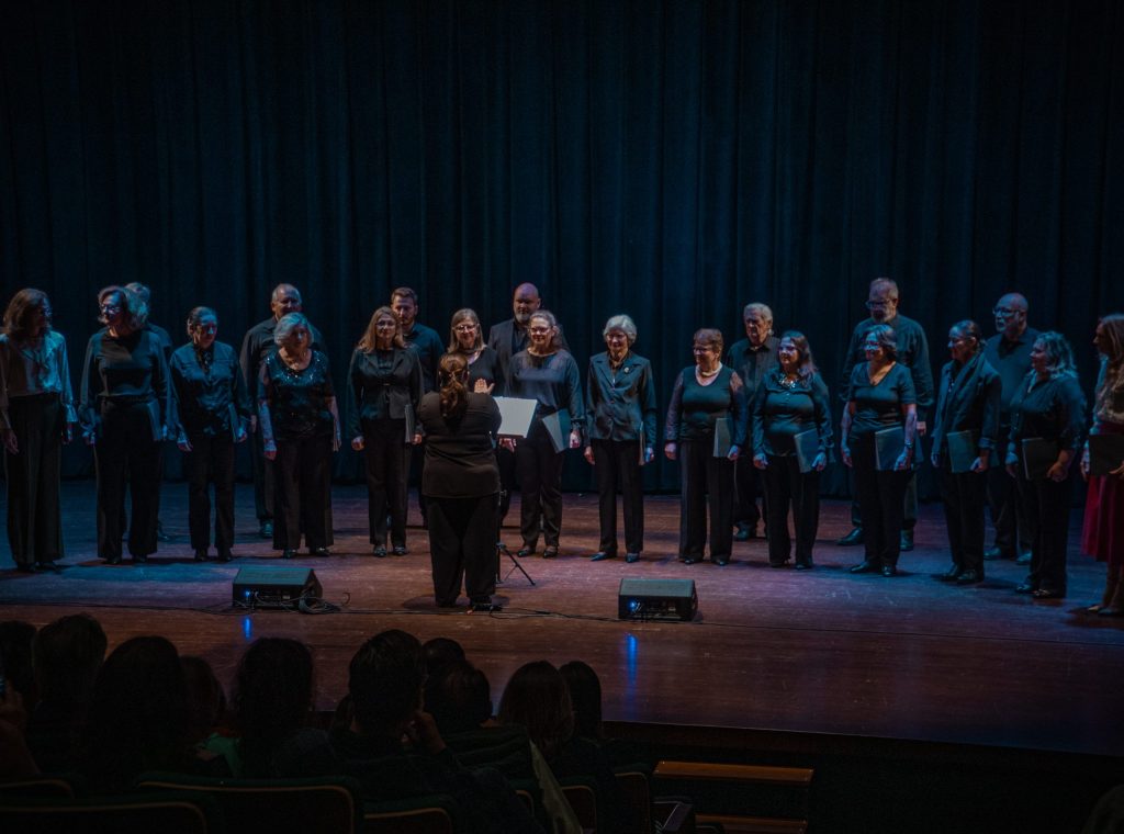 Medalha de Mérito Cultural Lindolf Bell 2024 homenageia artistas e grupos culturais de Timbó