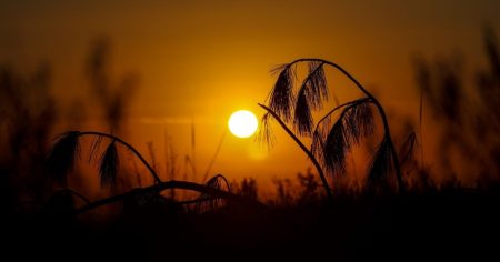 Verão 2025: Santa Catarina terá clima típico e possibilidade de temporais