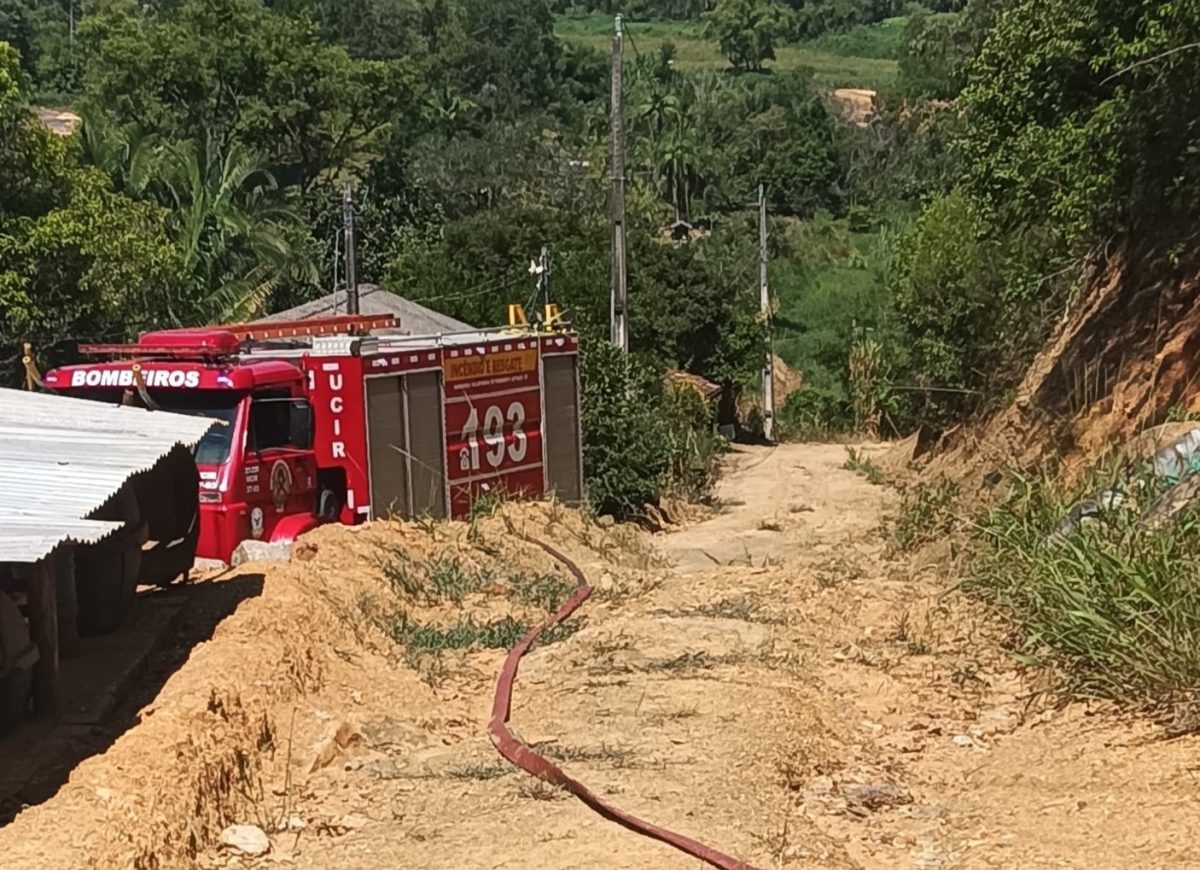 Incêndio destrói 5 mil m² de vegetação em Presidente Getúlio