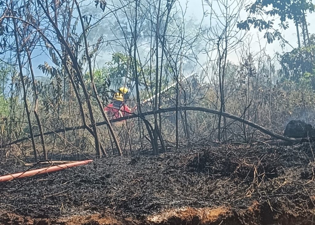 Incêndio destrói 5 mil m² de vegetação em Presidente Getúlio