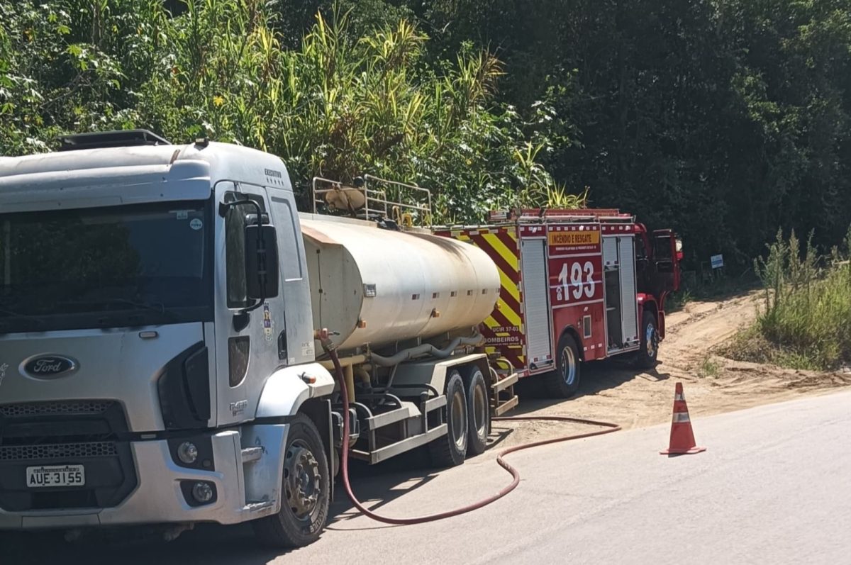 Incêndio destrói 5 mil m² de vegetação em Presidente Getúlio