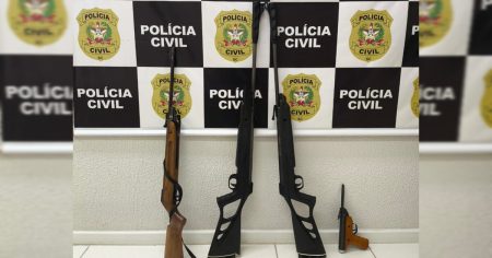 Polícia Civil prende homem em Blumenau por posse irregular de 4 armas de fogo