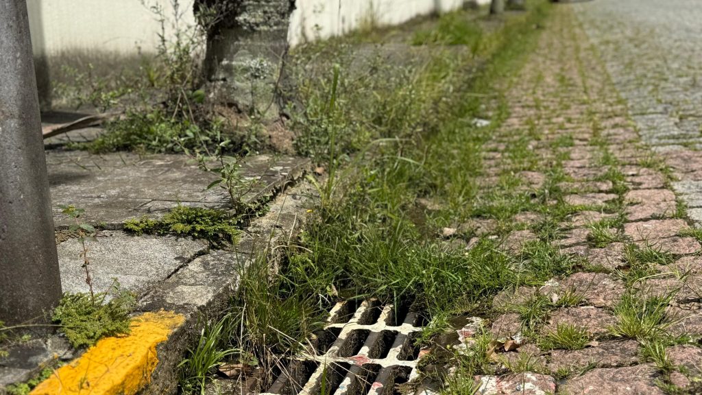 Manutenção urbana avança em Timbó com foco na limpeza e segurança