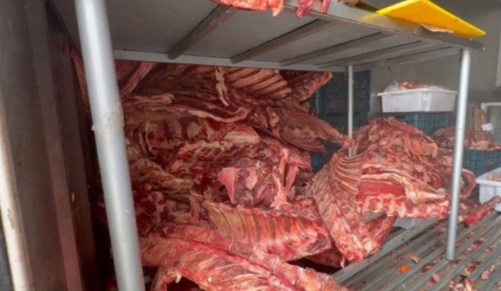 Vigilância Sanitária apreende 3 toneladas de carne estragada em Itajaí