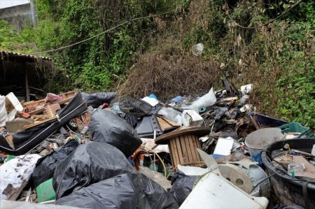 Blumenau realiza ação de limpeza para combater o Aedes aegypti e prevenir doenças