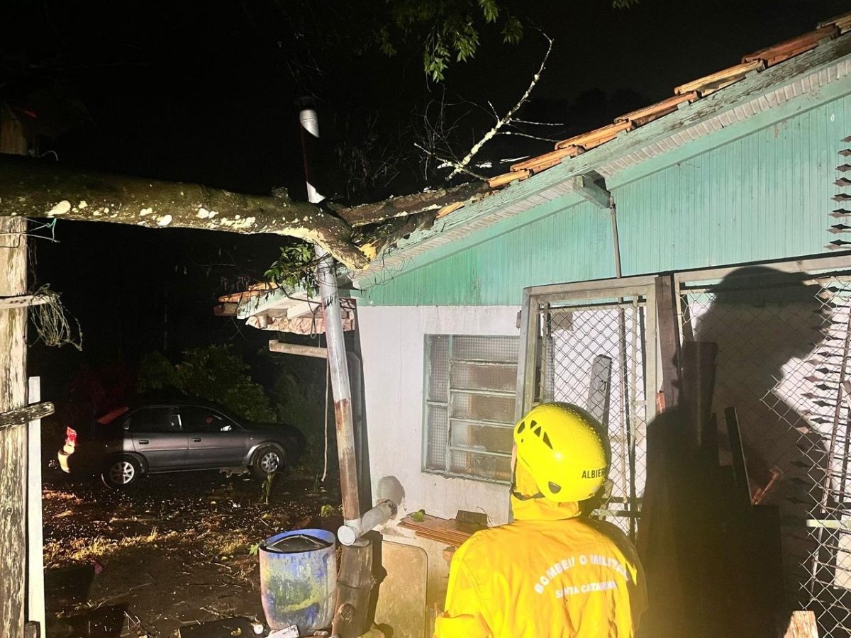 Bombeiros removem árvores e resgatam gestante presa após temporal em Rio do Sul