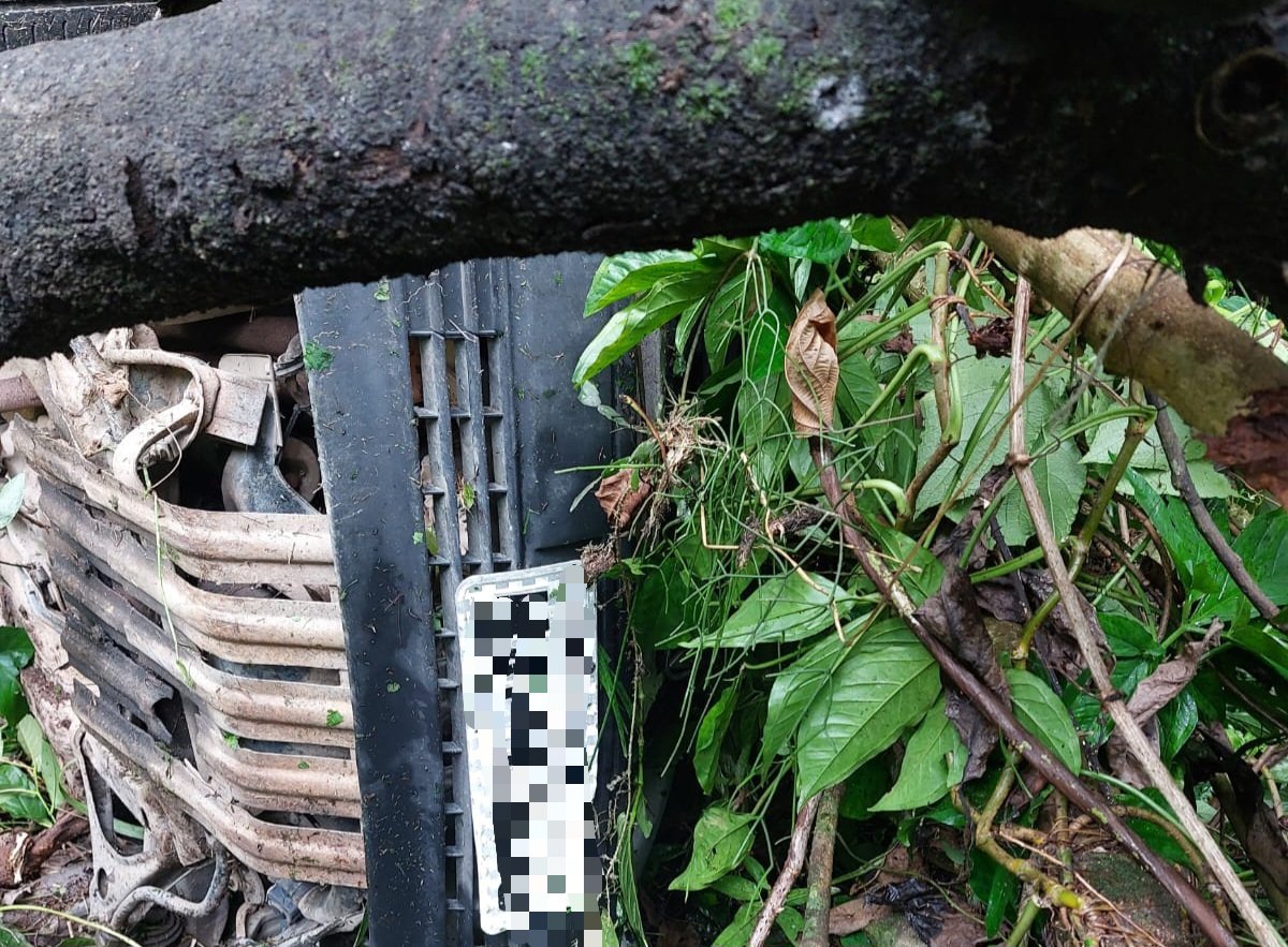 Motorista perde controle e cai em ribanceira em Blumenau