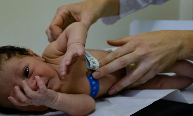 SC torna obrigatório o Teste do Olhinho para recém-nascidos em todos os hospitais