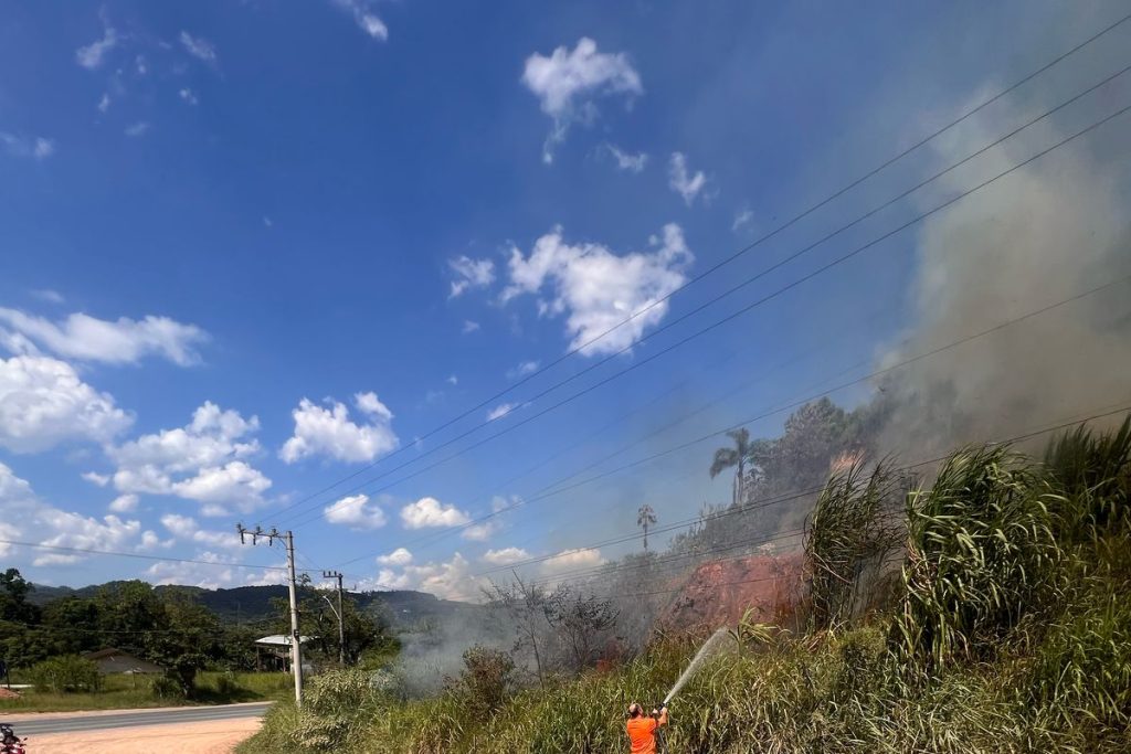 Defesa Civil, Prefeitura de Timbó e Bombeiros no combate ao incêndio em vegetação