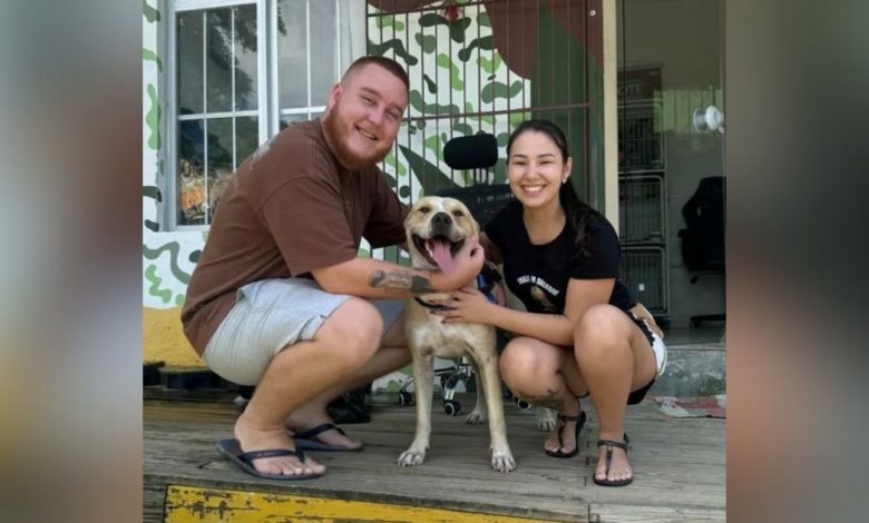 Final feliz: Cachorro que ficou ao lado do tutor morto em BC ganha nova família em Brusque