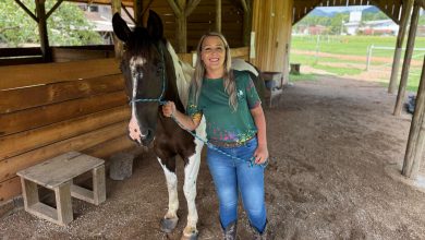 Centro de equitação em Timbó estuda projeto para oferecer equoterapia