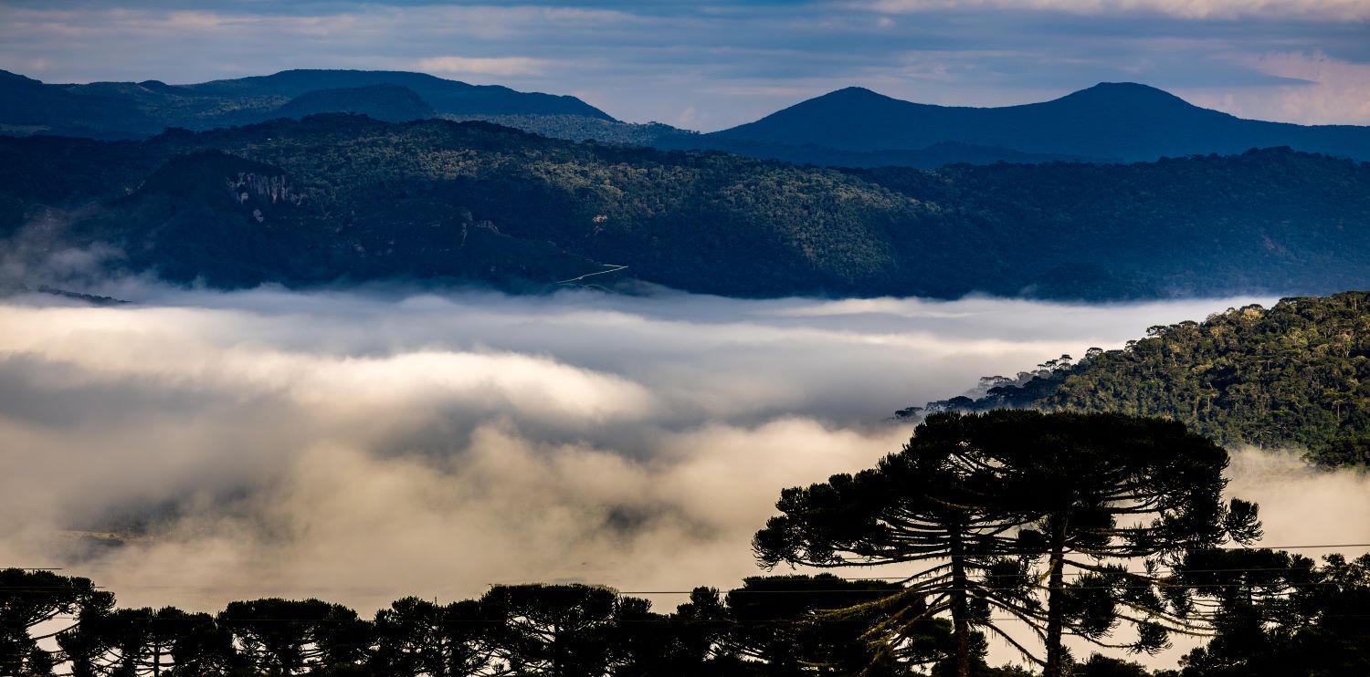 Santa Catarina e Pomerode se destacam como destinos mais acolhedores do Brasil em 2025