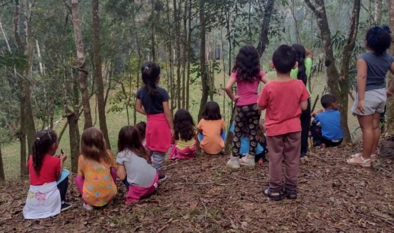 Professora de Blumenau é premiada nacionalmente por projeto sobre cultura indígena e ciclo de vida das abelhas
